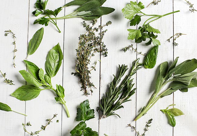 medicinal-herbs-ayurvedic-herbs