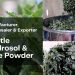 manufacturer for nettle hydrosol and powder