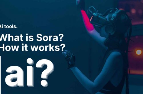 What is Sora?